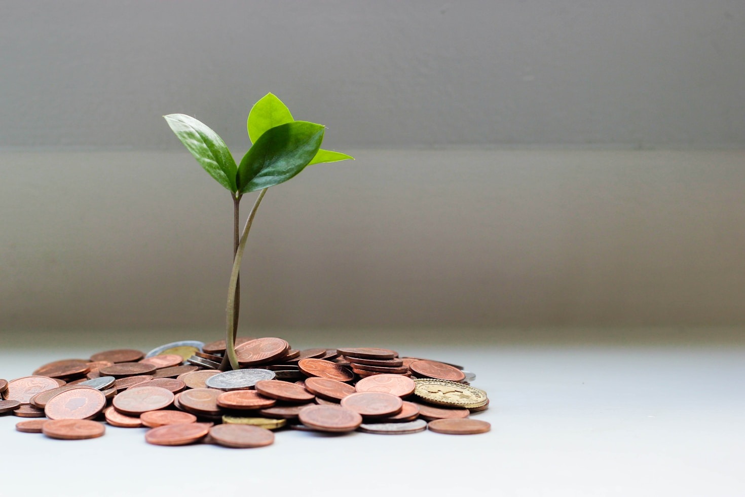 The Future Of Accessible Digital Banking